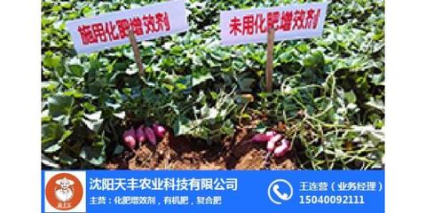 植物營養(yǎng)增產肥市場新機遇 天豐農業(yè)引領高效種植新浪潮