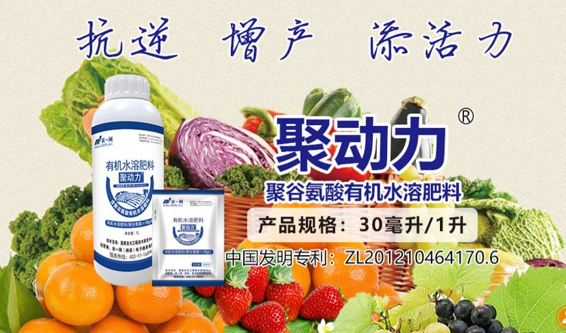 肥料檢出植物生長調節(jié)劑最高可處20倍罰款，聚谷氨酸或成安全增效新選擇