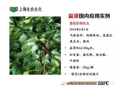 生農益澤酯化植物油增效劑應用案例解析 提升農藥效能的關鍵助力